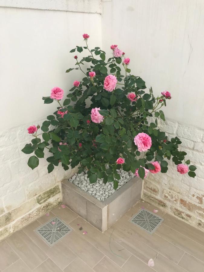 Nido Di Pietra-Dimora In Centro Acomodação com café da manhã Alberobello Exterior foto